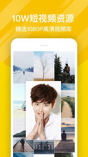 熊猫动态壁纸主题