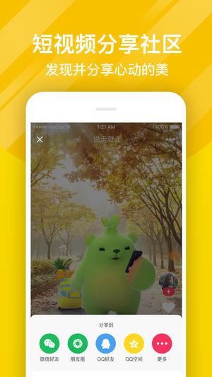 熊猫动态壁纸主题