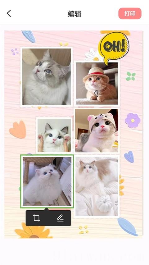 汉印美照官方版