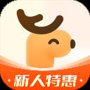 心鹿心理app