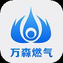 万森燃气