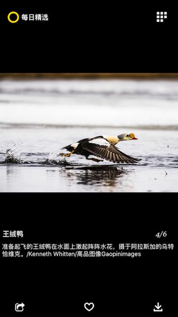 每日精选官方版