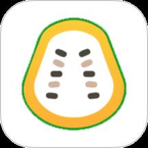 木瓜影评播放器