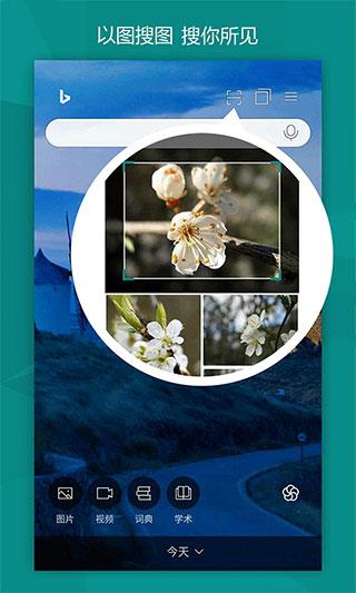 微软bing国际版app